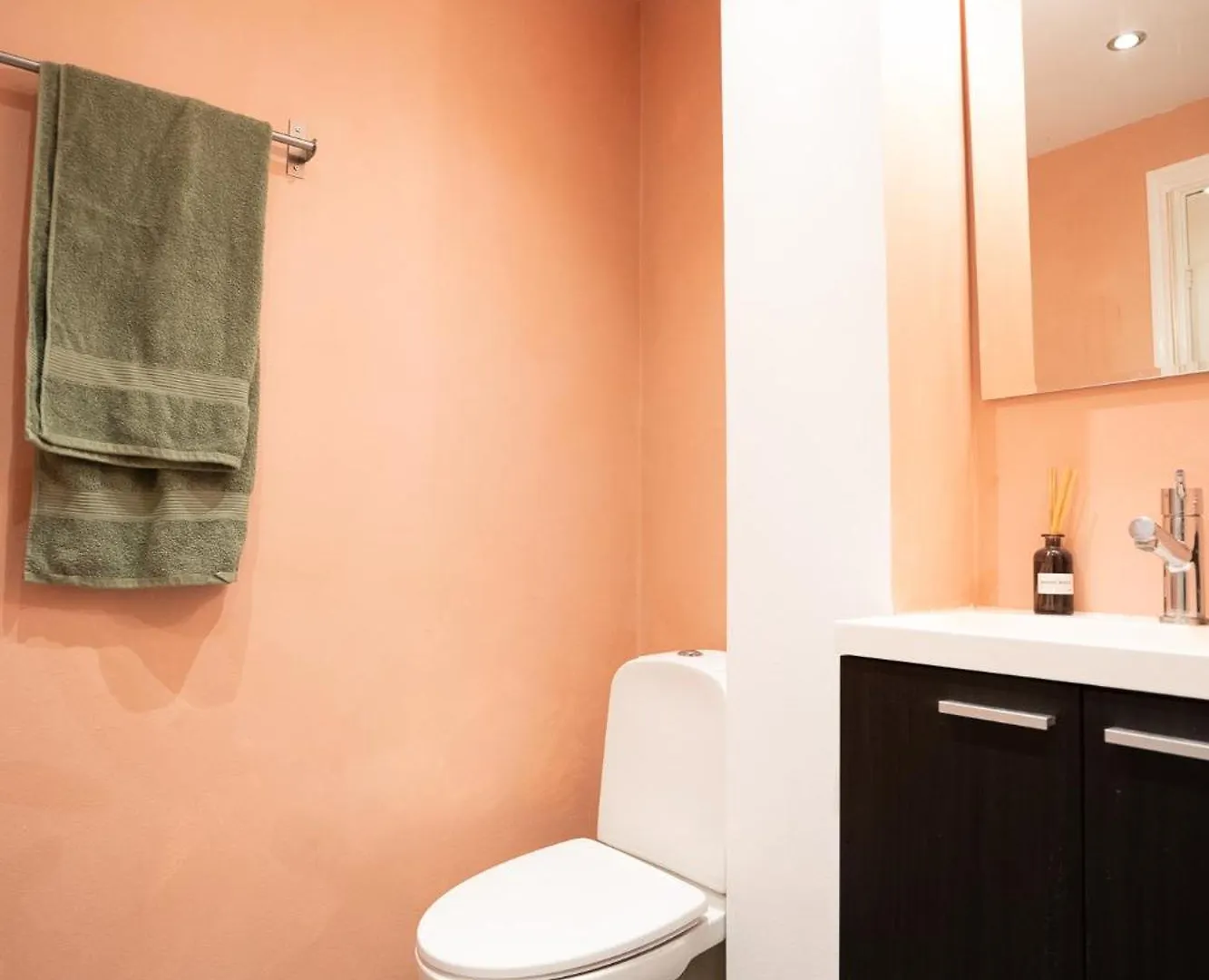 Spacious Green Apartment With Amazing Loft Κοπεγχάγη Δανία